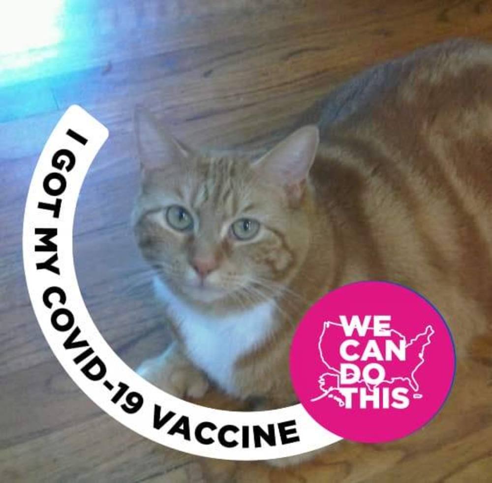 Meet your Posher, Joyce